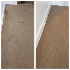Carpet Cleaning Randwick